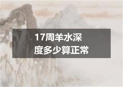 17周羊水深度多少算正常