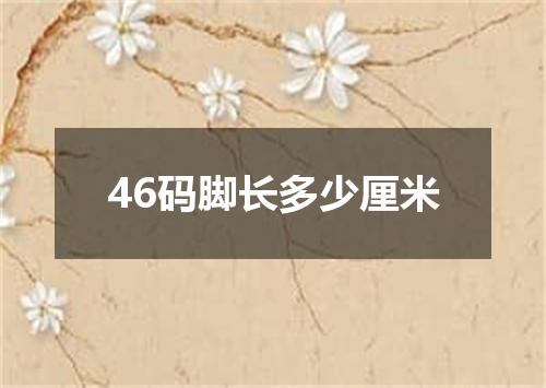 46码脚长多少厘米
