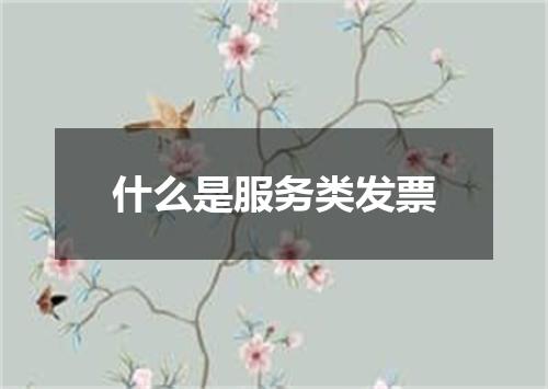 什么是服务类发票