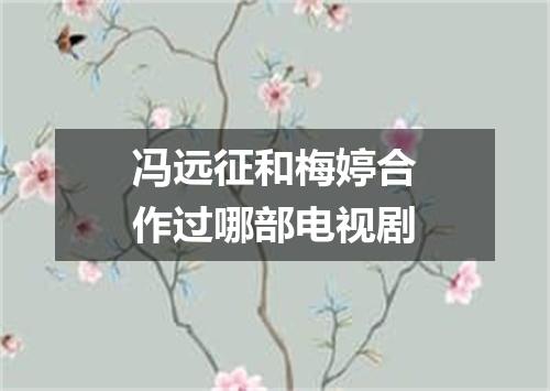 冯远征和梅婷合作过哪部电视剧