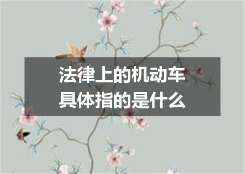 法律上的机动车具体指的是什么