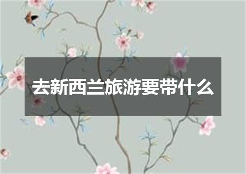 去新西兰旅游要带什么