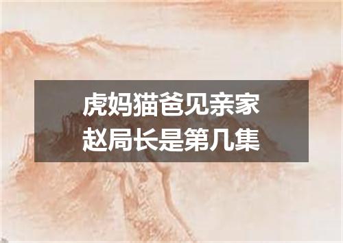 虎妈猫爸见亲家赵局长是第几集