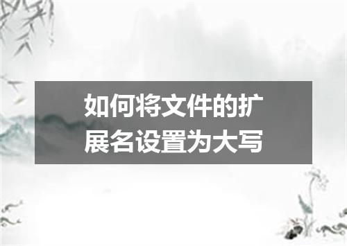 如何将文件的扩展名设置为大写