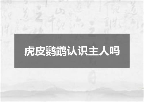 虎皮鹦鹉认识主人吗