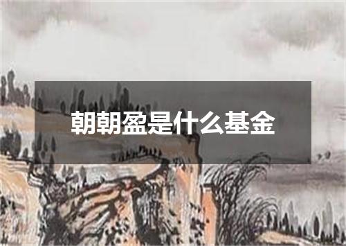 朝朝盈是什么基金