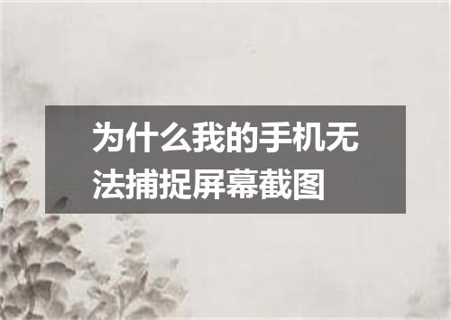 为什么我的手机无法捕捉屏幕截图