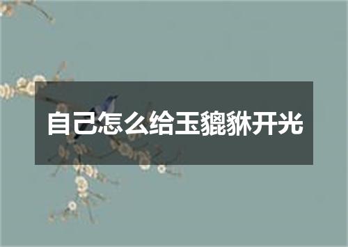 自己怎么给玉貔貅开光
