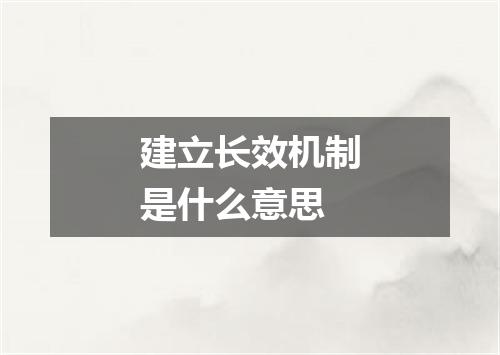 建立长效机制是什么意思
