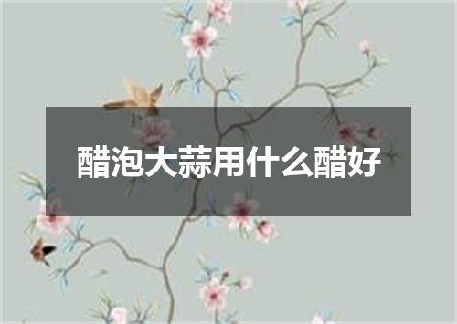 醋泡大蒜用什么醋好