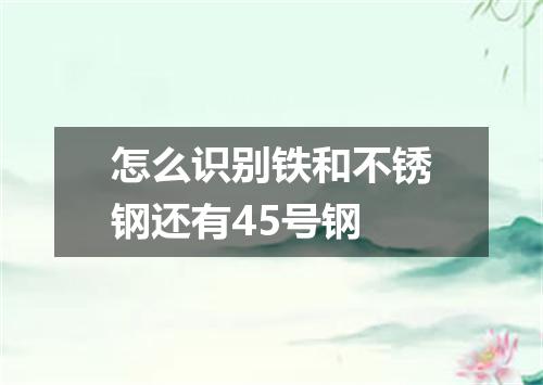 怎么识别铁和不锈钢还有45号钢