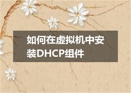 如何在虚拟机中安装DHCP组件