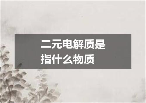 二元电解质是指什么物质