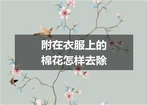 附在衣服上的棉花怎样去除