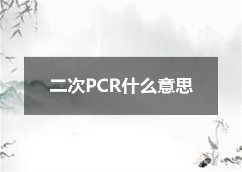 二次PCR什么意思