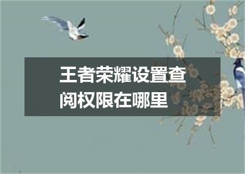 王者荣耀设置查阅权限在哪里
