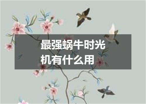 最强蜗牛时光机有什么用