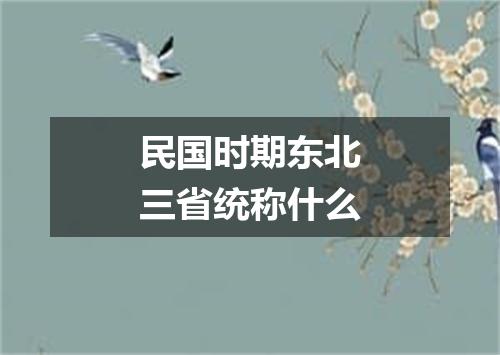 民国时期东北三省统称什么