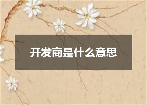 开发商是什么意思