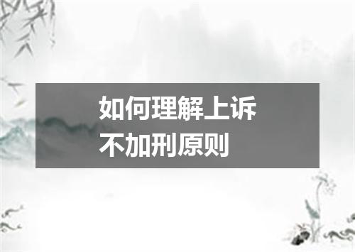 如何理解上诉不加刑原则