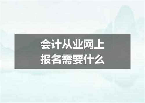 会计从业网上报名需要什么