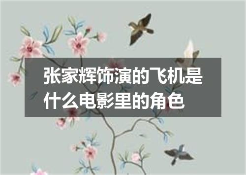 张家辉饰演的飞机是什么电影里的角色