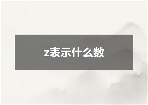 z表示什么数