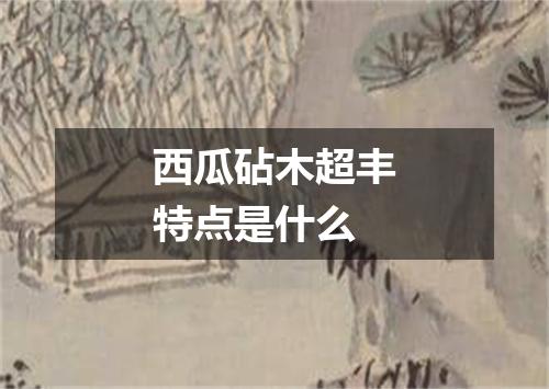 西瓜砧木超丰特点是什么