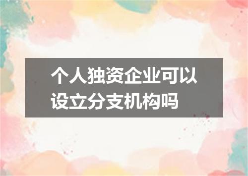 个人独资企业可以设立分支机构吗