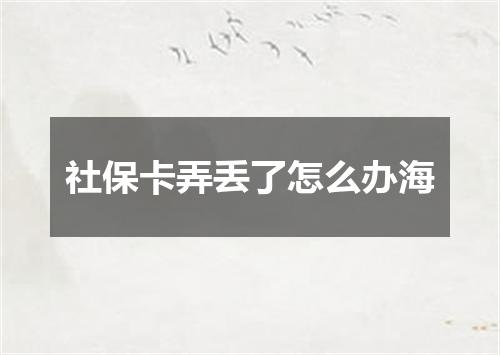 社保卡弄丢了怎么办海