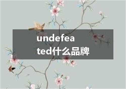 undefeated什么品牌