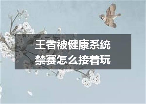 王者被健康系统禁赛怎么接着玩