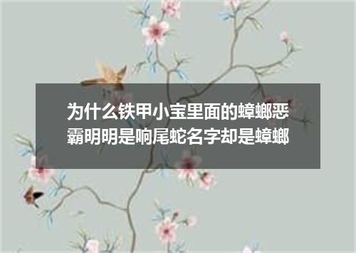 为什么铁甲小宝里面的蟑螂恶霸明明是响尾蛇名字却是蟑螂