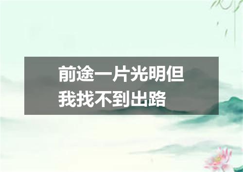 前途一片光明但我找不到出路