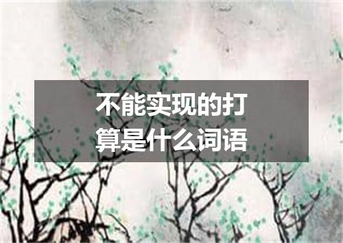 不能实现的打算是什么词语