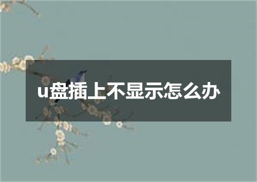 u盘插上不显示怎么办