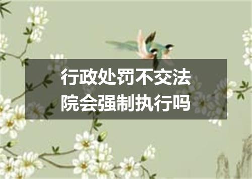 行政处罚不交法院会强制执行吗
