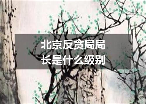 北京反贪局局长是什么级别