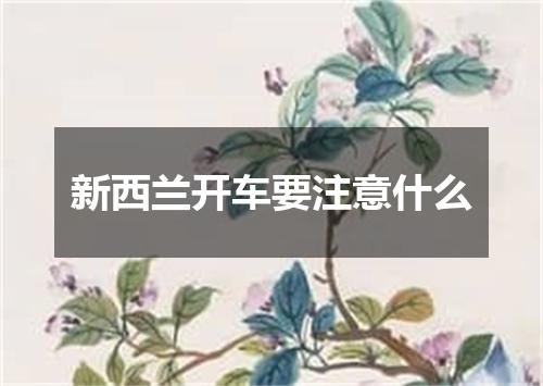 新西兰开车要注意什么
