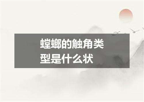 螳螂的触角类型是什么状