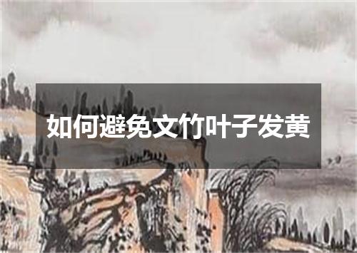 如何避免文竹叶子发黄