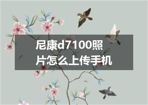 尼康d7100照片怎么上传手机