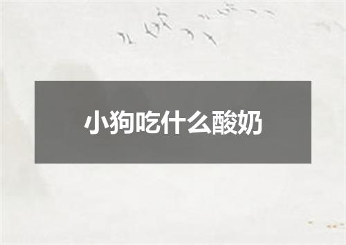 小狗吃什么酸奶