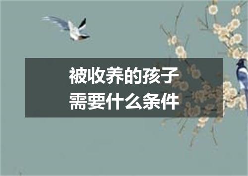 被收养的孩子需要什么条件