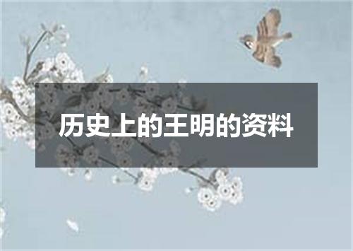 历史上的王明的资料