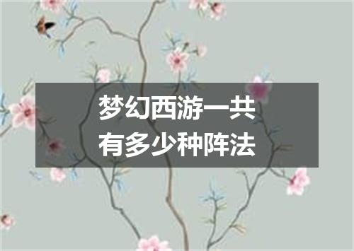 梦幻西游一共有多少种阵法