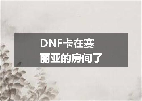 DNF卡在赛丽亚的房间了