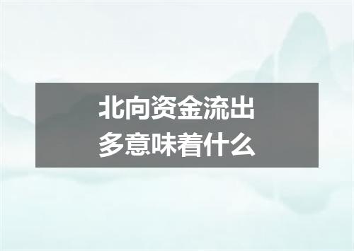 北向资金流出多意味着什么