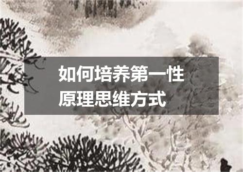 如何培养第一性原理思维方式