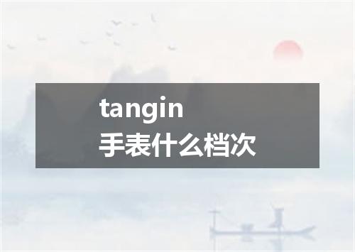 tangin手表什么档次